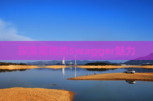 探索蔻驰的Swagger魅力