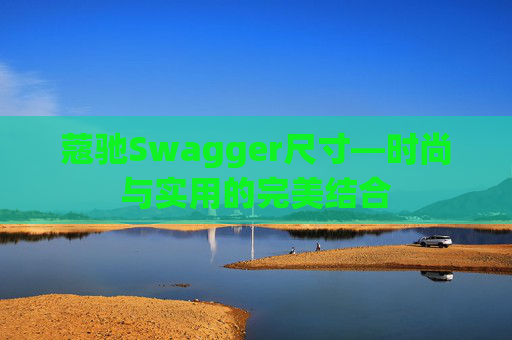 蔻驰Swagger尺寸—时尚与实用的完美结合
