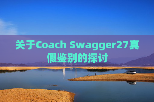 关于Coach Swagger27真假鉴别的探讨
