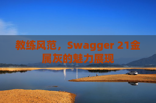 教练风范，Swagger 21金属灰的魅力展现
